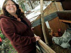 Sherry Poppe re-homed her rooster but hopes a proposed bylaw allowing chickens to be kept within residential areas will spare her hens who provide fresh eggs for her family and neighbours. Her hens have received a reprieve until after Jan. 28 when Chatham-Kent Coun. Marjorie Crew will introduce a motion to have staff carry out a report on the pros and cons of allowing urban residents to have chickens in their yards.  (DIANA MARTIN, The Chatham Daily News)