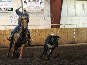 Adam Jackson/Daily Herald-Tribune
Craig Lightfoot chases down a calf on Saturday at the Drysdale Centre at Evergreen Park in competition with the Smoky River Team Roping Association. (Adam Jackson/Daily Herald-Tribune)