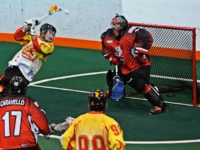 Photo by TIM PROTHERO, CLAX

Logan Kane of the Demons scores a behind the back goal on Inferno goalie Jay Preece Saturday during CLAX action at the Iroquois Lacrosse Arena. The Demons won 16-8.