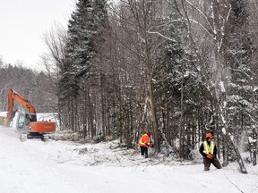 Grassy Narrows First Nation to apply for Individual Environmental Assessment of 10 year Whiskey Jack Forest Management Plan due to concerns over clear cut logging operations on their traditional land, the impact on water quality, hunting and trapping.