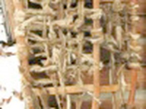IMG-0138 
These spear-shaped (Ojibway) snowshoesí webbing has retained some of the hide of the animal used. George McKenzie of Brownvale donated them to the Museum. Snowshoes were the forerunners of skis and enjoy a history which precedes that of the wheel.