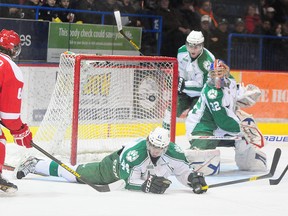 Hounds defenceman Colin Miller looks on after one of his teammates beat Wolves goalie Franky Palazzese as Charlie Dodero slides across.