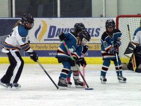 Paris Wight players Zoe Wilson, Olivia Wight and goalie Carly Halsey square off against Paris Parkhill's Lillian Halsey and Madelynn Sickle during a U10 ringette game on Saturday, Jan. 20 at the Brant Sports Complex. SUBMITTED PHOTO