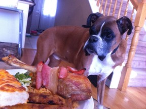 Lennox is served his last meal, which included a bacon-wrapped turkey leg and sausages. (Imgur Photo)