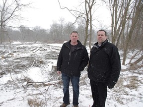 Chris Kern, left, and Brian Connors of the City of Woodstock Parks and Recreation department stand in front of ash trees that have recently been felled in Lions Park. New trees are expected to be gradually replanted and the park will be open again in the spring (HEATHER RIVERS, Woodstock Sentinel-Review)