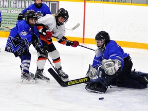 Shawn Skinner of the Elma-Logan Pee Wees looks as his shot trickles wide of the Teeswater net during OMHA/WOAA ‘D’ playoff action in Monkton last Thursday, Jan. 24. The game ended in a 1-1 tie even after a 10-minute overtime period, putting the Wildcats behind in the six-point series, 3-1. Game 3 goes in Teeswater tonight (Jan. 30).