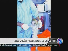 An image grab taken from Iran's Al-Alam TV on Jan. 28, 2013, shows an Iranian scientists at an unknown location holding a live monkey which the Tehran-based Arab-language channel said they sent up into space in a capsule and later retrieved intact. (AFP PHOTO/AL-ALAM TV)