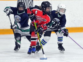 Kaitlyn Sammon, centre, of the Chatham Novice Thunder protects the ring from Madison DaSilva, left, and Sophie McCullough of the London Lynx during Game 2 of a doubleheader Sunday at Erickson Arena. (MARK MALONE/The Daily News)