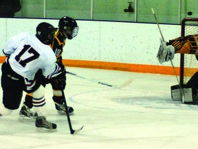 Hawk Luc Brusset came close to scoring a goal with this attempt, which hit the crossbar. Simon Ducatel Vulcan Advocate
