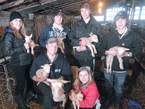 The Wagler family show the new lamb sextuplets born at their Harmony-area sheep farm Tuesday. Front row are Dave and daughter Leah, 9, while at back are mom Kari, and sons Josh, 17, Jake, 15, and Tim, 13. (SCOTT WISHART, The Beacon Herald)