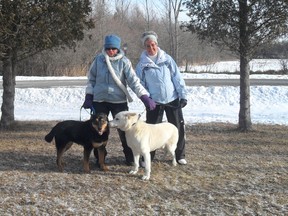 Volunteers Carol Armstrong and Myrna Whelan, plus Diane McCormick (absent from photo), help out at the South Dundas Animal Shelter by walking dogs, cleaning pens and more.