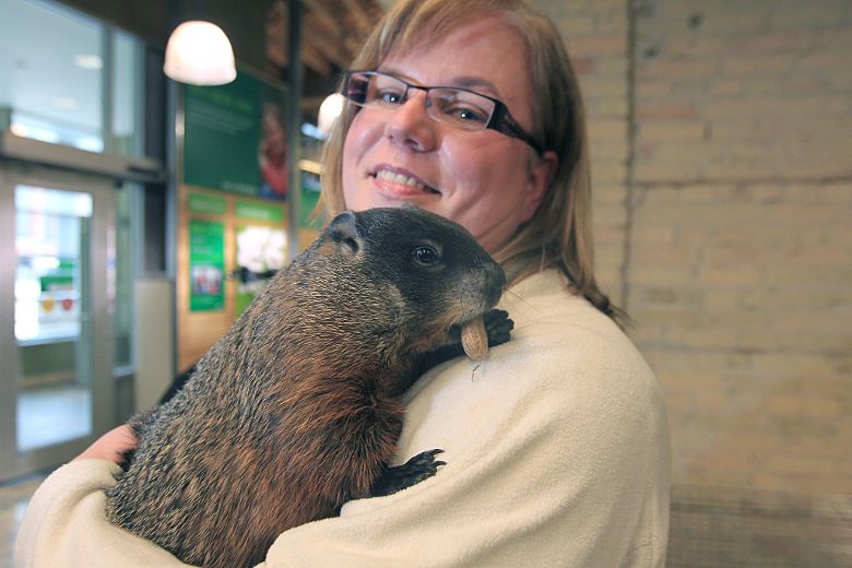 groundhog day manitoba merv 2025