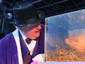 South Bruce Peninsula Mayor John Close is told by Wiarton Willie that there would be an early spring during the 57th Annual Wiarton Willie Festival prediction day celebrations last year. James Masters/The Sun Times
