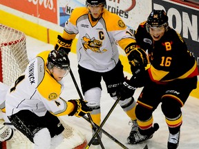 Belleville Bulls captain Brendan Gaunce chases a puck near the Sarnia Sting net during OHL action Saturday night at Yardmen Arena. (Michael J. Brethour for The Intelligencer.)
