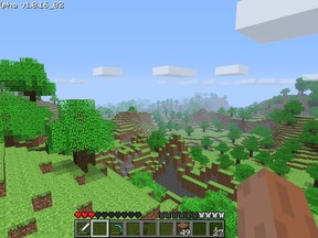 A typical starting vista of the Lego-like Minecraft world. Players can build anything from simple-houses to physics-defying castles. (QMI Agency)