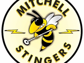 Mitchell stingers logo