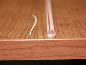 One of 29,000 membranes, compared to the average straw (right).