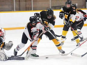 File Photo
The Norfolk Bantam B HERicanes fight for possession of the puck against the Mitchel Meteors during a game in Dec. 2012. The Bantam B HERicanes will begin their playoff series against the Wilmot Wolveries this Saturday at Talbot Gardens.