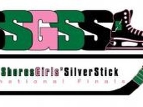 Silver Stick Logo