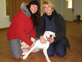 Heather Thompson poses for a photo at the Sarnia & District Humane Society with her new dog Sadie, along with shelter staff member Debbie Brunins, recently. Sadie was the shelter's 50th adoption in its 50th year of operation. SUBMITTED