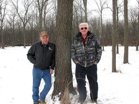 Harry Lawson, left, and Bill Parks are among many local farmers opposed to the idea of the Municipality of Chatham-Kent imposing a tree cutting moratorium. A large group of farmers are expected to attend next Monday's council meeting when the issue of the moratorium is expected to be come up. Photo taken Tuesday, Feb. 5, 2013, near Thamesville, Ont. (ELLWOOD SHREVE/ THE CHATHAM DAILY NEWS/ QMI AGENCY)