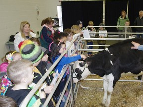 Dairy farmer John Doan with students from Innerkip Central Public School during Dairy Days at the Oxford Auditorium on Wednesday. HEATHER RIVERS/WOODSTOCK SENTINEL-REVIEW