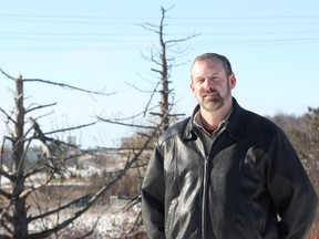 Jeff Scott, the councillor representing the Countryside District, stands at an island bordered by Hwy. 401 and Division Street in Kingston. Behind him are a number of dead trees, originally planted by the Ministry of Transportation during highway projects. Scott is calling on the ministry to change its policy to include maintaining and removing dead trees from the edges of its highways. 
Danielle VandenBrink/The Whig-Standard