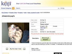 Online pet sales