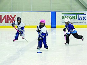 The Fort Saskatchewan U-9 Ice Crystals lost only one of 13 games this season.
Photo Supplied
