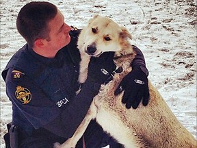 Submitted Photo

Spirit, the cemetery dog, poses with one of her many rescuers, Insp. Brandon James of the SPCA.