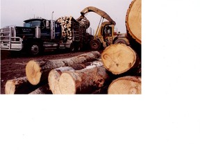 Logging trucks are unloaded for the oriented strand board mill at Weyerhaeuser.