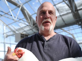 Carl Brantley holds a chantecler chicken, the only breed developed in Canada, at the Sarnia Poultry and Pigeon Show Saturday at DeGroot's Nurseries. Brantley, a retired professional wrestler under the name Vladimir Koloff, drove 13 hours from North Carolina and earned reserve grand champion bantam for his black-breasted red malay cokerel at the Sarnia Poultry and Pigeon Club show. There were 700 entries, including 40 different breeds of chicken, 20 different breeds of pigeon, and 15 different breeds of of ducks and rabbits, said organizer Gary Parsons. The show was the biggest in recent memory, Parsons said.  TYLER KULA/ THE OBSERVER/ QMI AGENCY