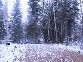 Sites such as this one will be able to accommodate trailers during the summer. Though individual sites don’t have electrical hookups, the shelter at the camp ground is equipped with power.
Carla Howell | Whitecourt Star