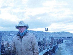 Bob Lowe at Beartrap Feeders, west of Nanton