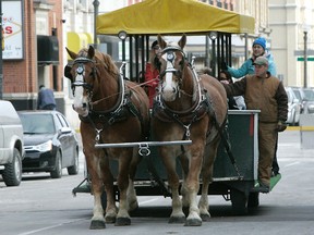 Expositor file photo

Horse-drawn trolley rides will be part of Frosty Fest this weekend at Harmony Square.