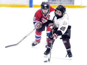Ryan Gagner, right, of the Kent Novice 'AA' Cobras is chased by Belle River Jr. Canadiens' Braeden Gray during an Ontario Minor Hockey Association playoff game Sunday at Thames Campus Arena. The Cobras won 3-0. (MARK MALONE/The Daily News)