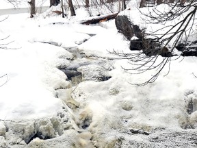 Evidence of contamination from a breach in a manure containment pond could be seen in the ice and foam of Golden Creek at Lyn Falls, above, about a kilometre west of Hillside Farms on Tuesday. (DARCY CHEEK/The Recorder and Times)