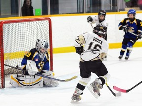 Quinte West Calderwood Automation Novice Hawks' Ethan Quick snaps a shot past Whitby White Wildcats' Brett Brannon during the Hawks' 16-4 romp Saturday at the Community Gardens.