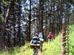 The Wilderness Youth Challenge Program takes at-risk youth to remote locations throughout the province where participants are taught basic wilderness survival skills and then embark on a four-day solo camping experience. The organization is currently independently run and supported entirely via donation. The program is a relapse prevention iniative that services youth in the Capital Region.