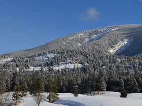 Grassy mountain