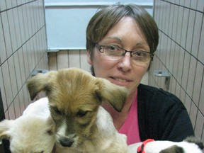 Shelter manager Donna Pyette cuddles three of the many puppies that have arrived in recent months.  These eight-week-old shepherd mix pups were found on the Aamjiwnaang First Nation outside in a box without their mom.
