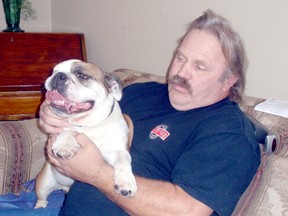 Lucy, a five-year-old English bulldog that survived a train crash in Chatham, Ontario, is shown here on Monday, February 18, 2013 with Dennis Wellman after being found Sunday by a Dresden woman and her daughter.  (BOB BOUGHNER, Chatham Daily News)