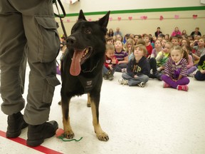 Sault Ste. Marie Police Service introduces its new police dog_3