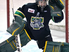 Portage Terriers goaltender Adam Iwan makes a save against the Swan Valley Stampeders in Portage la Prairie on February 10, 2013. (Photo by Fred Greenslade / greenslade.ca)