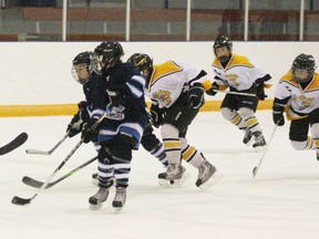 Peewees put the point crush on Canmore