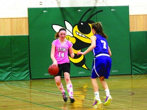 The Fort High Sting senior girls went 3-4 on the regular season.
Photo by Ben Proulx/Fort Saskatchewan Record/QMI Agency