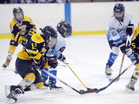 SARAH DOKTOR Simcoe Reformer
The Delhi Rockets and the Waterford Lions fight for the puck during a game Feb. 23 at the Waterford Arena.