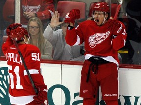 Detroit Red Wings center Damien Brunner (R) celebrates with teammate Valtteri Filpulla after scoring against the Vancouver Canucks during the third period of their NHL hockey game in Detroit, Michigan February 24, 2013.  REUTERS/ Rebecca Cook