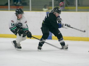 Drayton Valley Wildcats