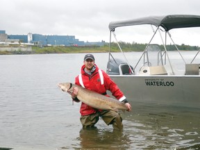 A University of Waterloo student poses with a large sturgeon from the Rainy River during a research project in 2012.
JEFF GUSTAFSON/Daily Miner and News